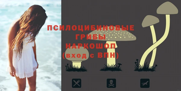 синтетический гашиш Алексин