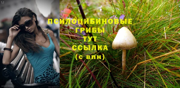 mdpv Алзамай