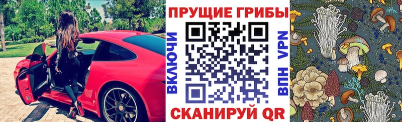 Псилоцибиновые грибы мицелий  как найти закладки  Жуков 